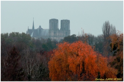 cathedrale automne
