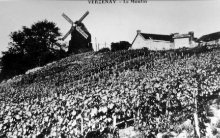 verzenay 6