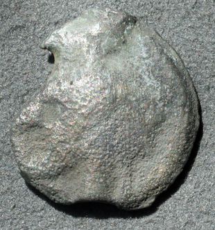 Potin "type de la Tène" Tene2r